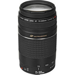 Rent Canon EFS Zoom Lens 75-300mm